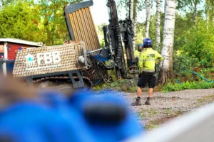 borrigg i skog